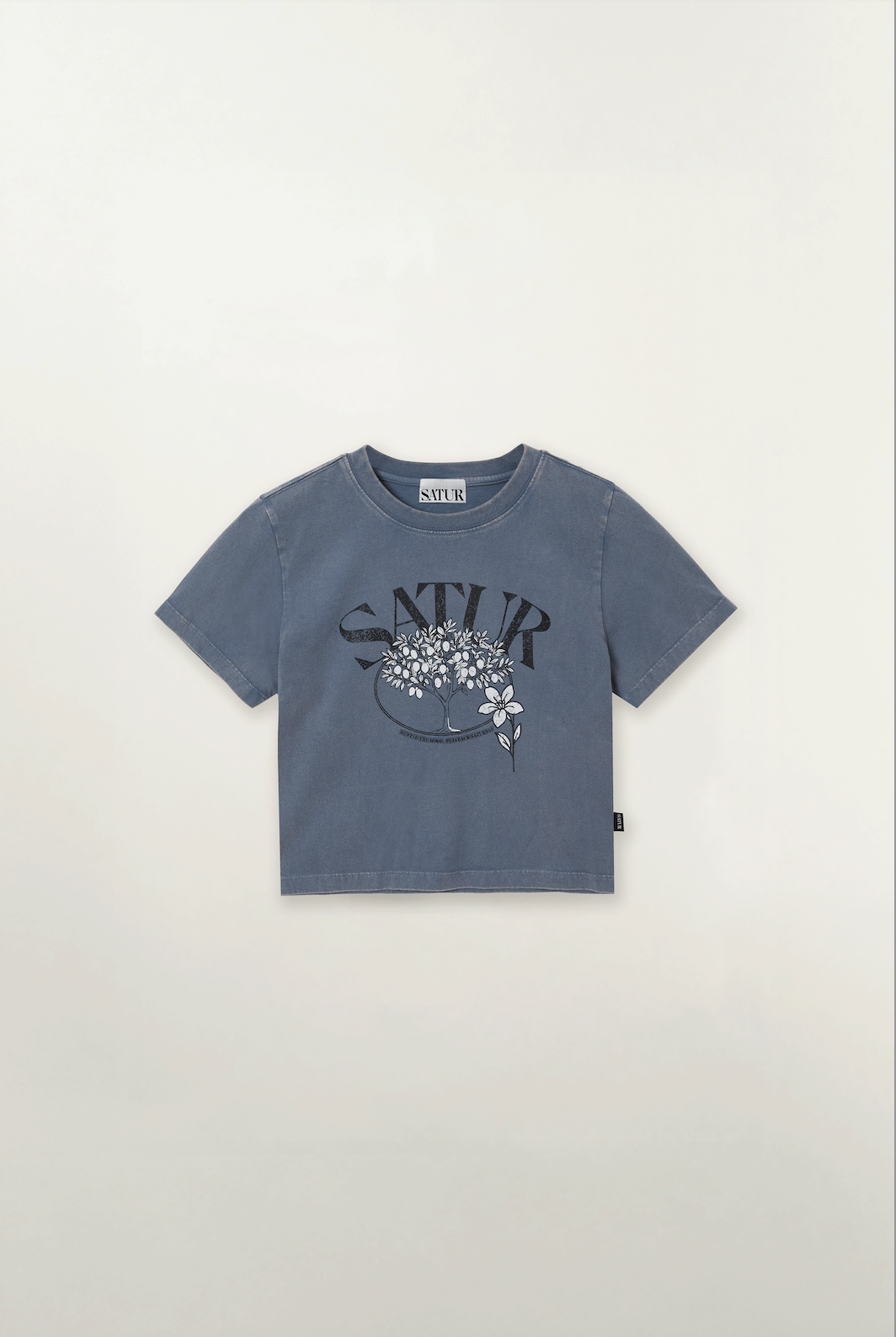 (W) Citron Tree Stone Washed Cropped T-shirt