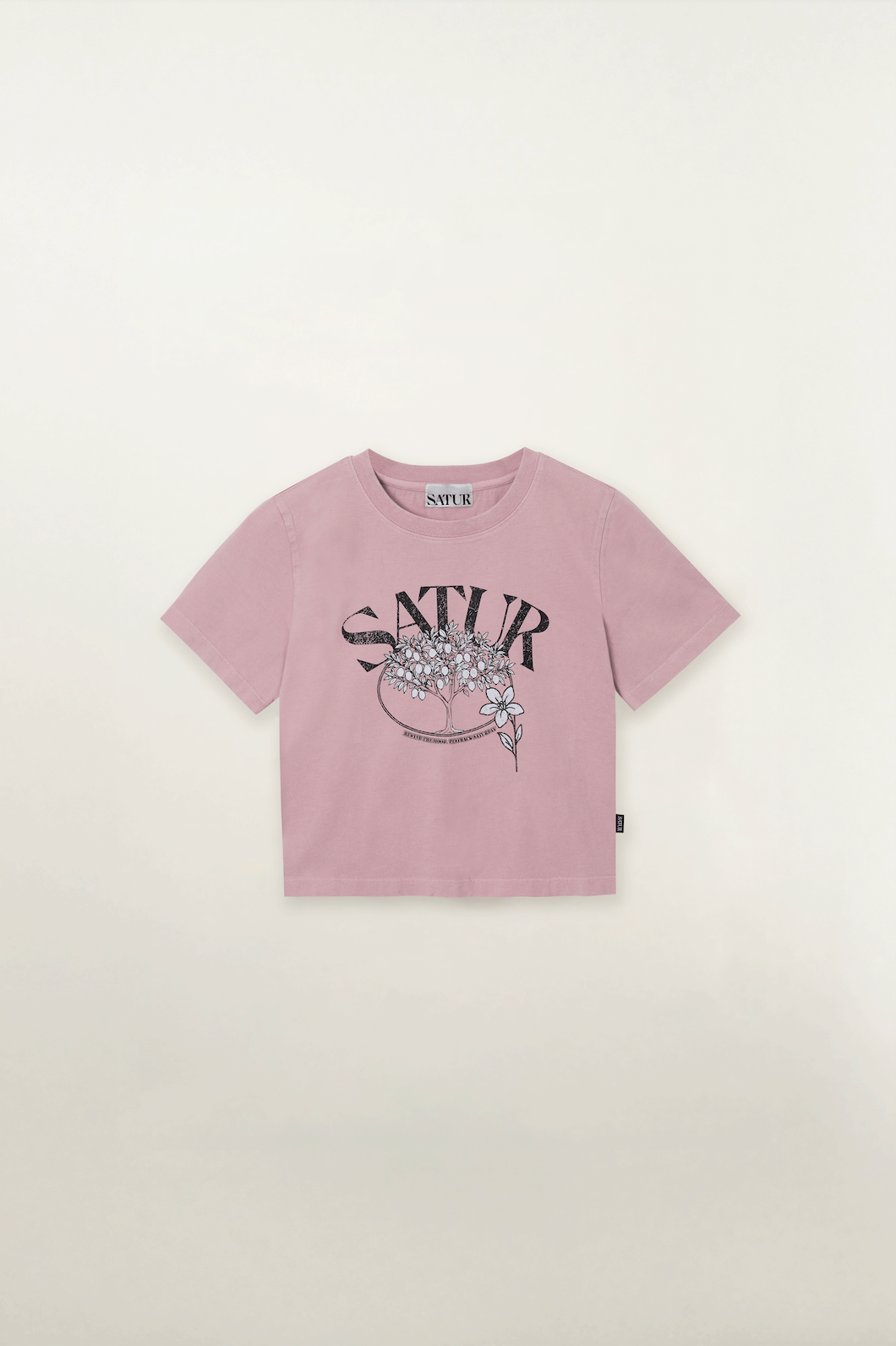 (W) Citron Tree Stone Washed Cropped T-shirt