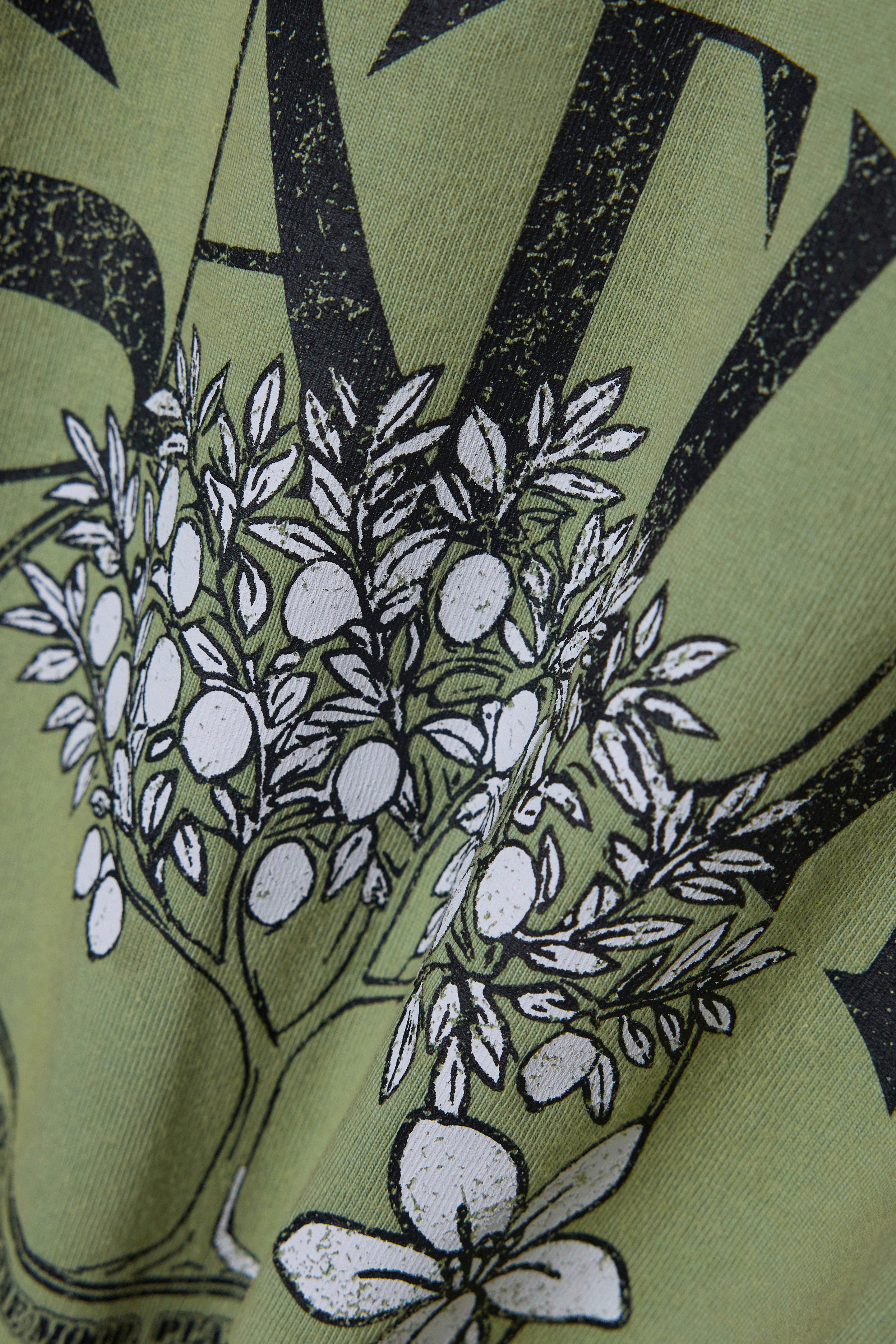 (W) Citron Tree Stone Washed Cropped T-shirt