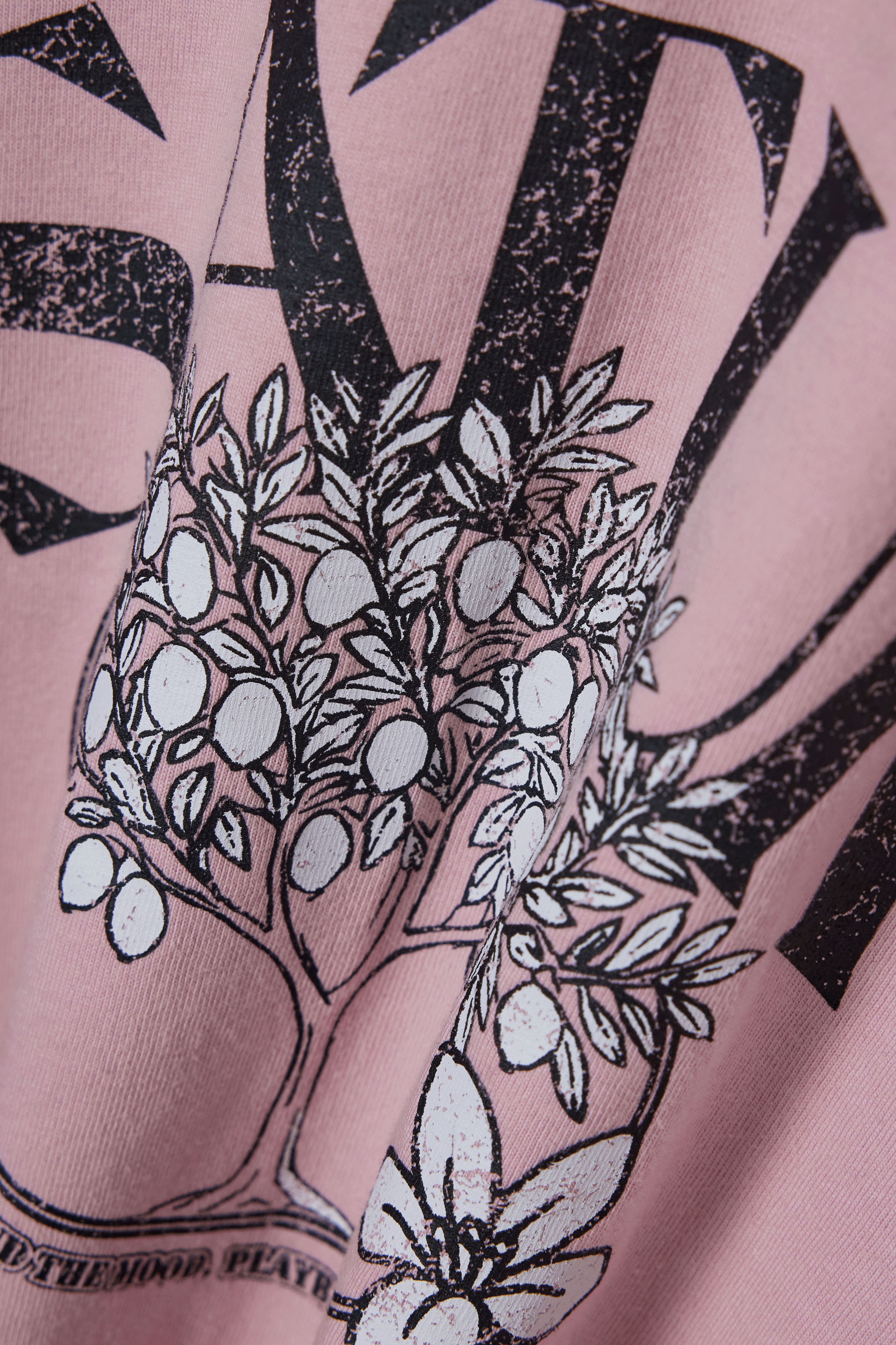 (W) Citron Tree Stone Washed Cropped T-shirt