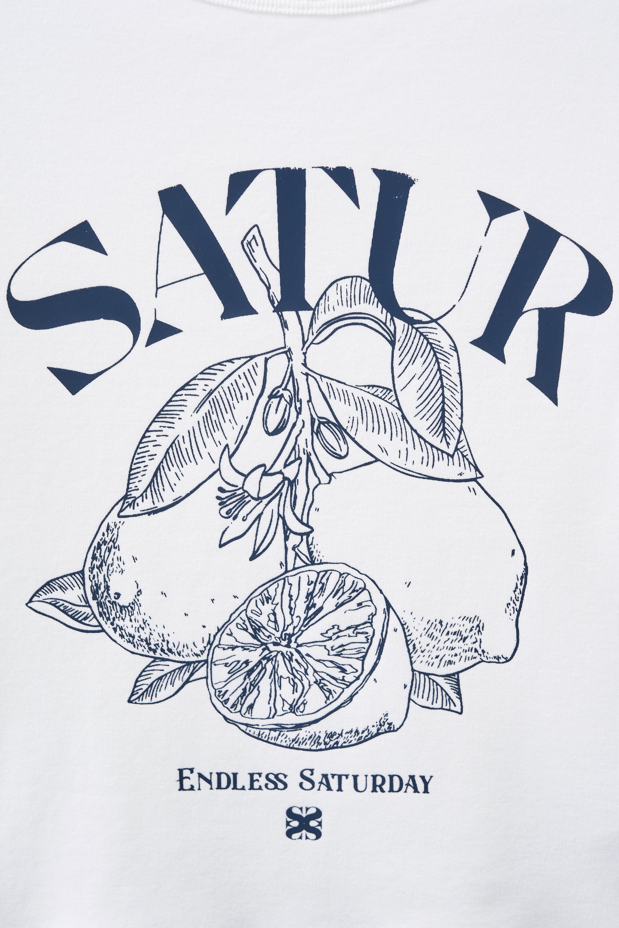 (W) Citron Crop Slim Fit T-shirts