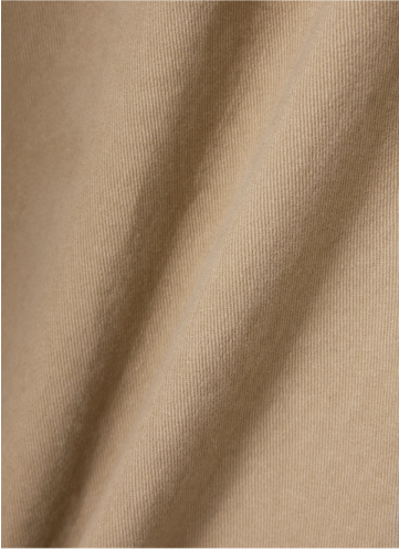(M) Carpenter Regular Fit Chino Pants