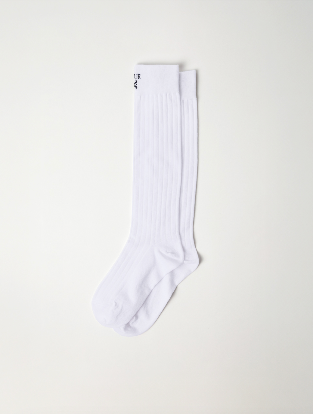 (W) See-through Ribbed Socks