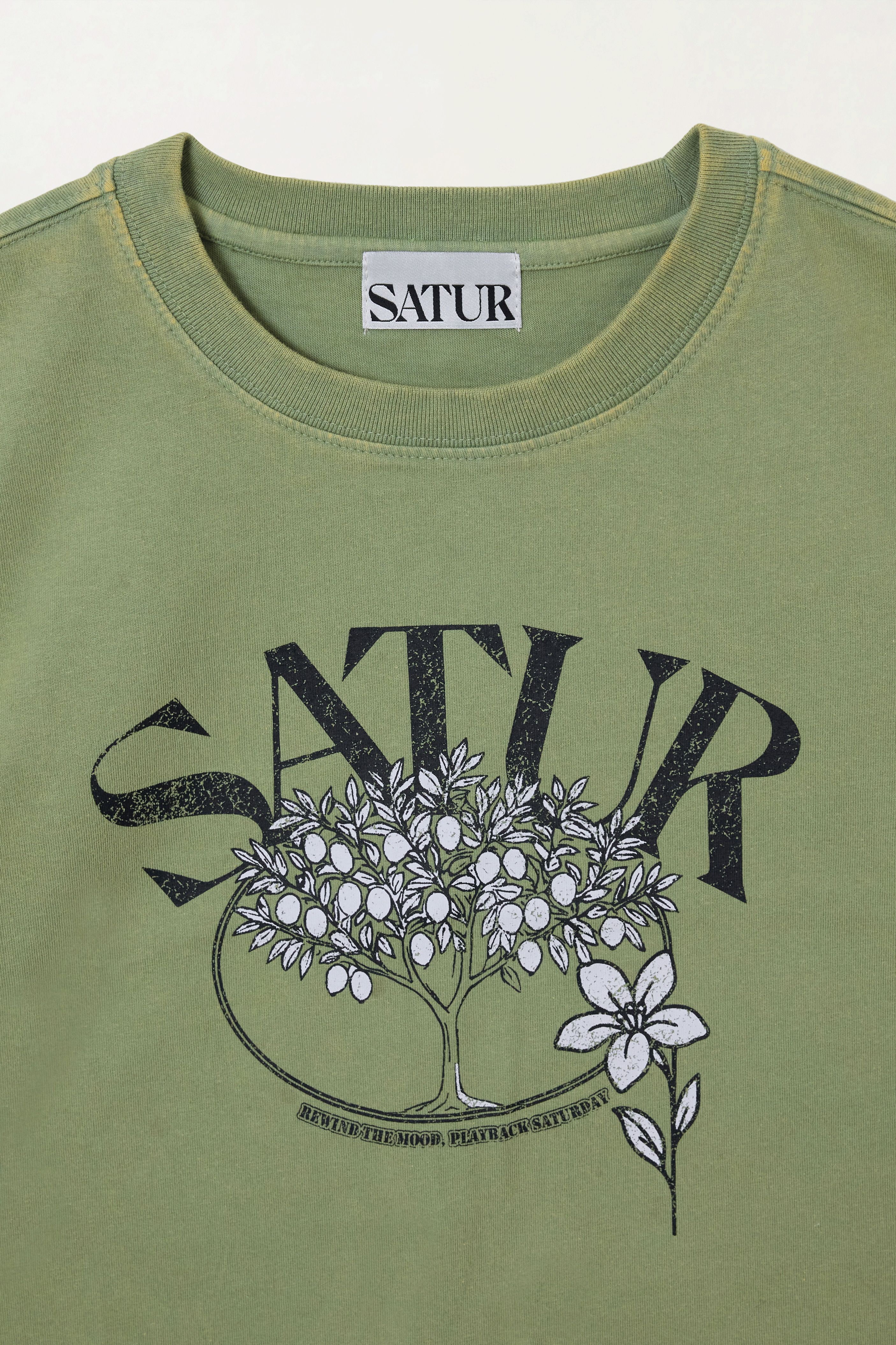 (W) Citron Tree Stone Washed Cropped T-shirt