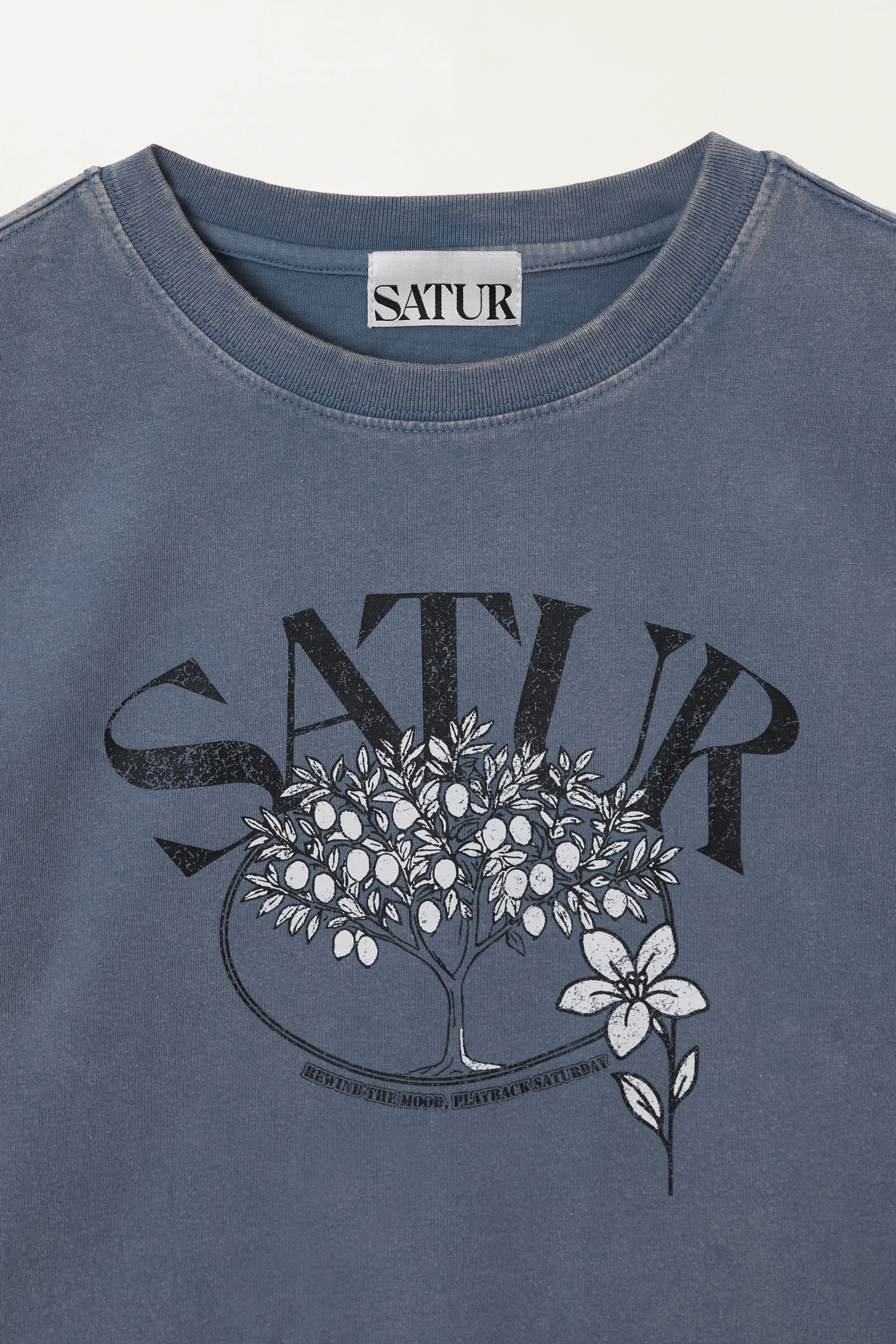 (W) Citron Tree Stone Washed Cropped T-shirt