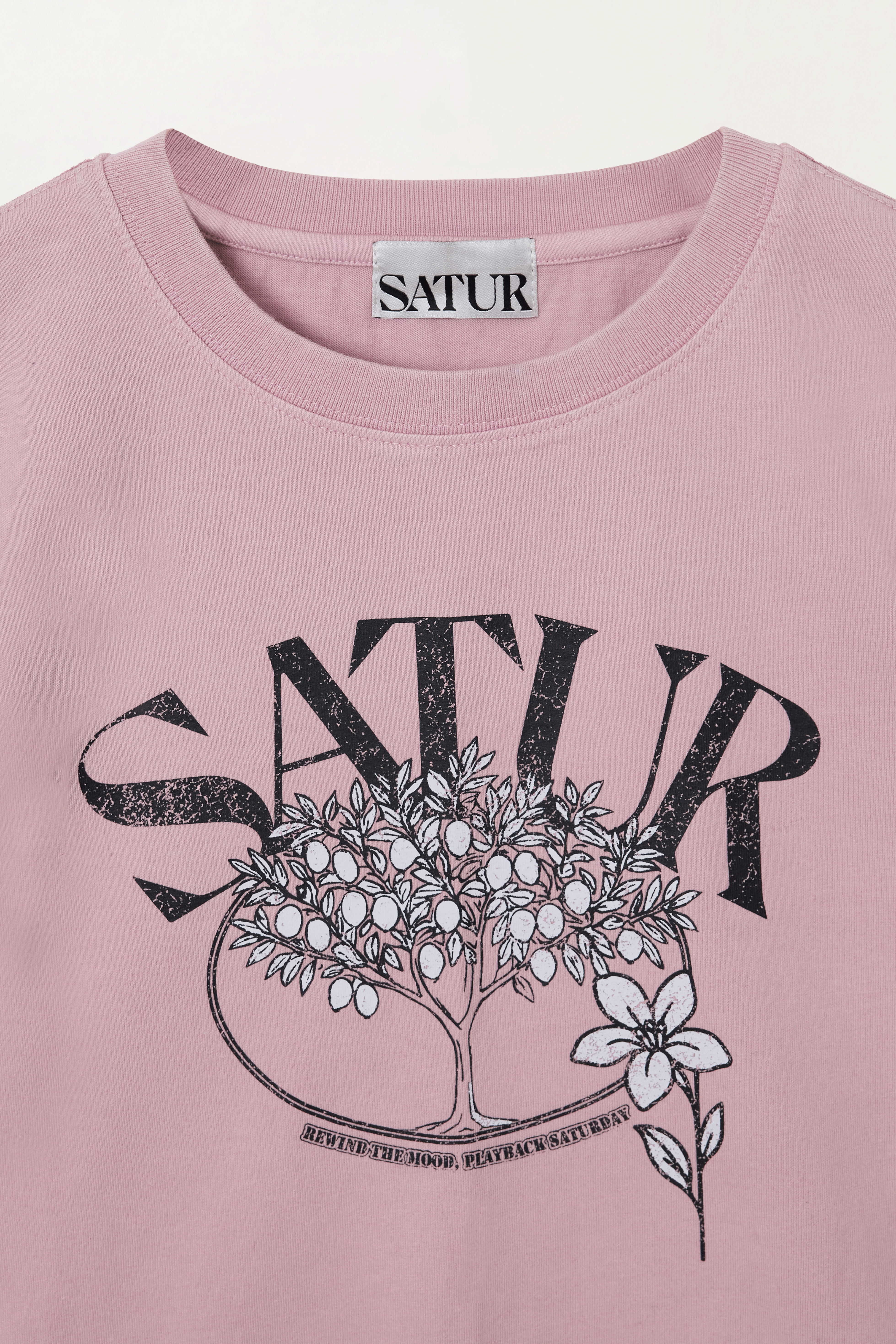 (W) Citron Tree Stone Washed Cropped T-shirt